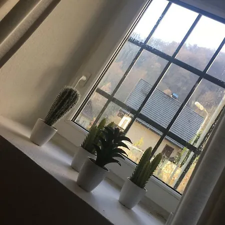 Vila Kralj Apartma 1 * بوتْشيترتيك